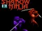 Jeu Shadow of the Ninja en ligne
