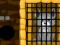 Jeu Grey Dog Rescue en ligne