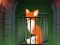 Jeu Fox in the Forgotten Ruins en ligne
