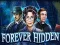 Jeu Forever Hidden en ligne