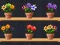Jeu Good Flower Master en ligne