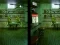 Jeu Robot Bar Spot the differences en ligne