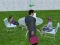 Jeu Millionaire Simulator 2024 en ligne