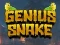 Jeu Genius Snake en ligne