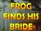 Jeu Frog Finds His Bride en ligne