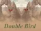 Jeu Double Bird en ligne