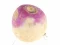Jeu Turnip en ligne