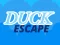 Jeu Duck Escape en ligne