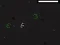 Jeu Bad Timing en ligne