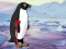 Jeu Heal the Wounded Penguin en ligne