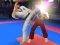 Jeu Karate Fighter en ligne