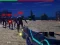 Jeu Zombie Survivor en ligne