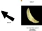Jeu Spinning Chip Clicker en ligne