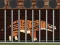 Jeu  Andrewsarchus Release from Cage en ligne