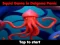 Jeu Squid Game In Dalgona Panic en ligne