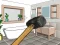 Jeu Smash The Room To Pieces en ligne
