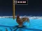 Jeu Animal Impossible Track Rush en ligne