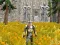 Jeu Axe Of The Ancients Dwarven Fury en ligne