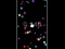 Jeu Pop Ball en ligne