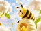 Jeu Find The Differences: Little Bee's Adventure en ligne