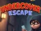 Jeu Undercover Escape en ligne