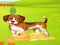 Jeu Bunny Key Quest en ligne
