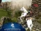 Jeu Ertugrul Gazi Horse Sim en ligne