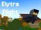 Jeu Elytra Flight en ligne
