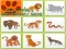 Jeu Wild Animals Kids Memory game en ligne