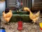 Jeu Poultry Farm Easter Escape en ligne
