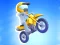 Jeu Mad Bikers en ligne