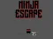 Jeu Ninja escape en ligne