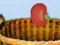 Jeu Harvesting en ligne
