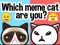 Jeu Which Meme Cat Are You? en ligne