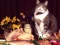 Jeu Funny Cats Puzzle en ligne