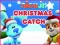 Jeu Nick Jr. Christmas Catch en ligne