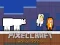 Jeu PixelCraft Animal School en ligne