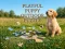 Jeu Playful Puppy Outdoor Puzzle en ligne