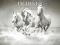 Jeu Horses Puzzle en ligne
