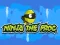 Jeu Ninja the Frog en ligne