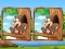 Jeu Jungle 5 Diffs en ligne