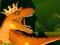 Jeu The Dino King en ligne