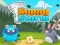 Jeu Bunny Storm en ligne