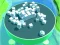 Jeu Roller Magnet en ligne