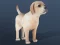 Jeu IDLE Pet en ligne