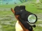 Jeu Hunter 3D en ligne