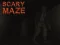 Jeu Scary Maze en ligne