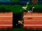 Jeu Big Birds Racing en ligne