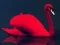 Jeu Love Birds Puzzle en ligne