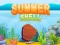 Jeu Summer Shell en ligne